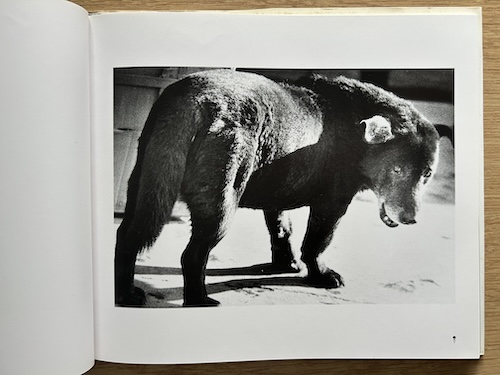 森山大道 1970-1979 MORIYAMA Daido 1970-1979 森山大道 | タイムカプセル